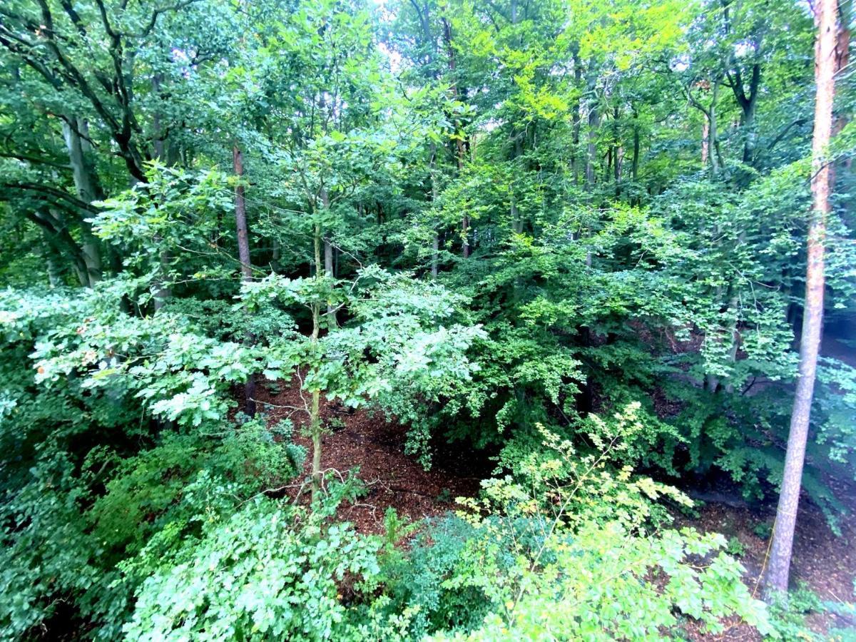 Forest - 23 Marca Sopot By Grand Apartments Eksteriør bilde